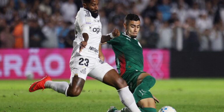 Brasileirão: Palmeiras fica no zero com o Santos e Flamengo agradece brasileirao:-palmeiras-fica-no-zero-com-o-santos-e-flamengo-agradece