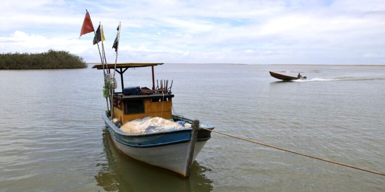 Pesca na foz do Rio Doce volta a ser liberada depois de dez anos pesca-na-foz-do-rio-doce-volta-a-ser-liberada-depois-de-dez-anos