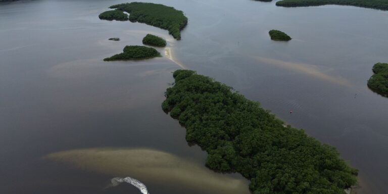 Países consideram insuficientes ações contra crise da biodiversidade paises-consideram-insuficientes-acoes-contra-crise-da-biodiversidade